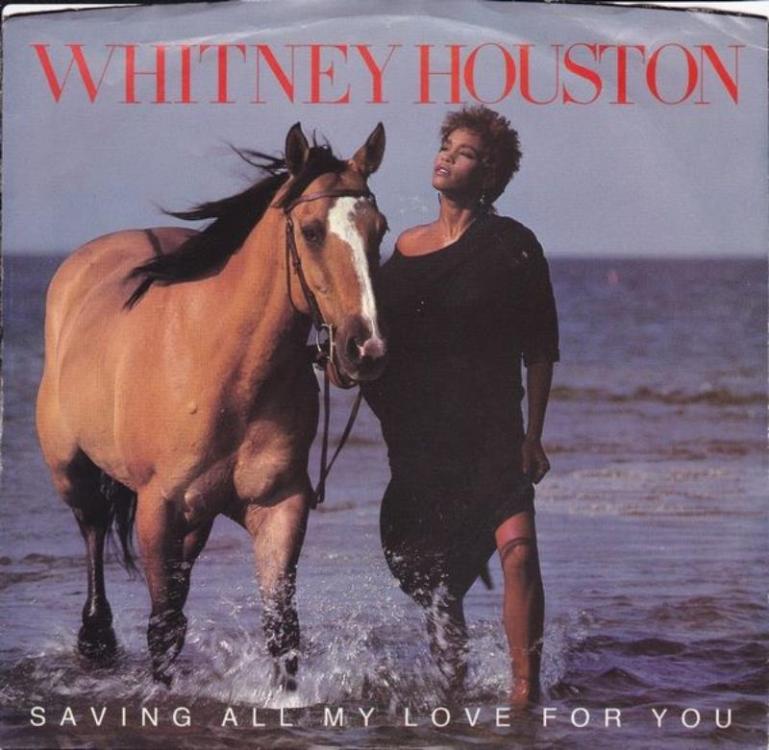 Horse - Whitney Houston (Copy).jpg