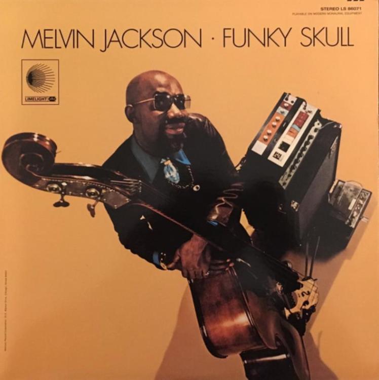 Ceiling - Melvin Jackson – Funky Skull (Copy).jpg