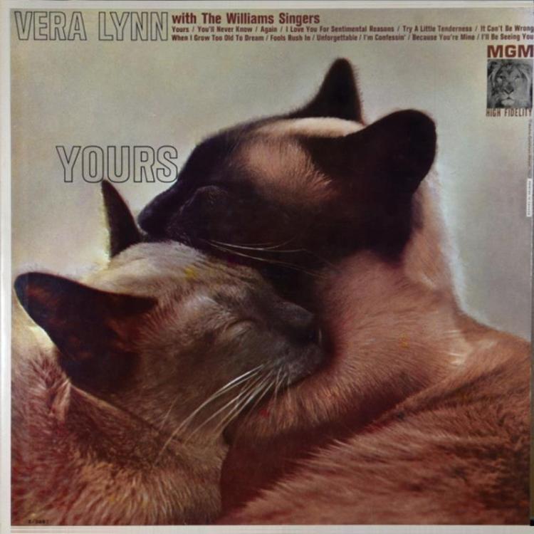 Cat - Vera Lynn With The Williams Singers – Yours3 (Copy) (Copy).jpg