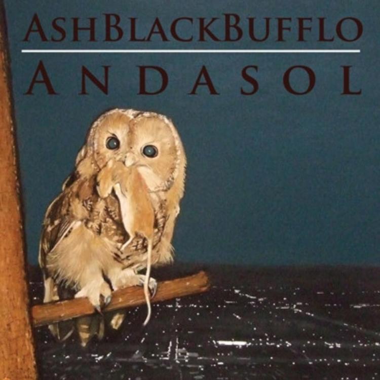 Owl - Ash Black Bufflo – Andasol (Copy).jpg