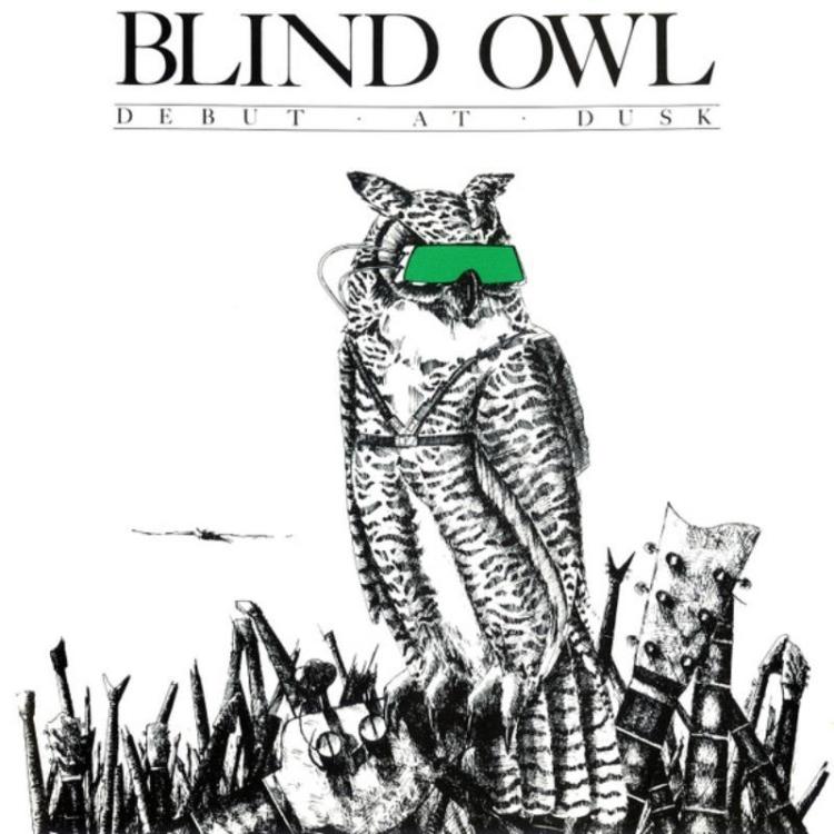 Owl - Blind Owl (2) – Debut At Dusk (Copy).jpg