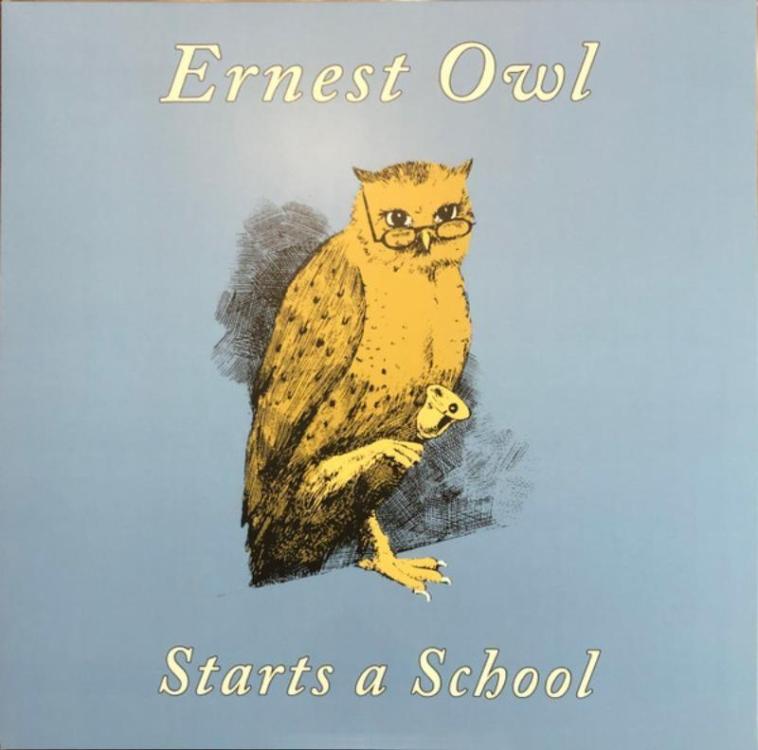 Owl - Ernest Owl – Starts A School (Copy).jpg