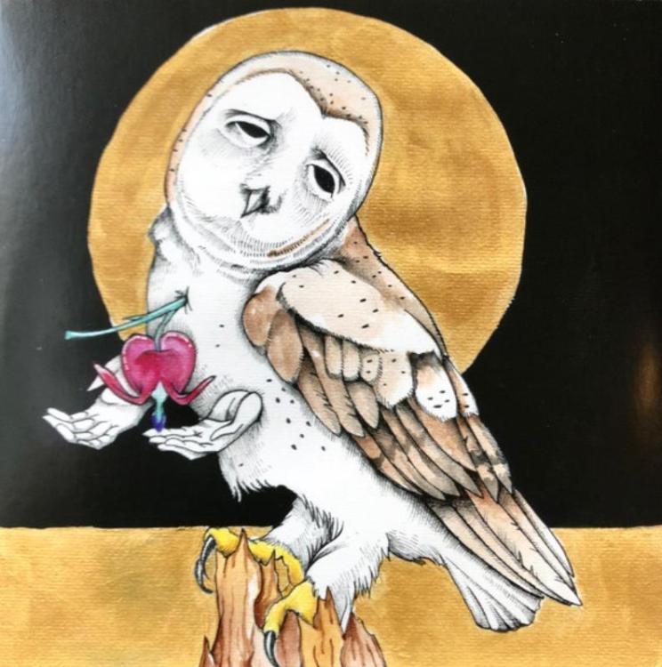 Owl - Kevin Morby & Waxahatchee – Farewell Transmission b​-w The Dark Don't Hide It (Copy).jpg