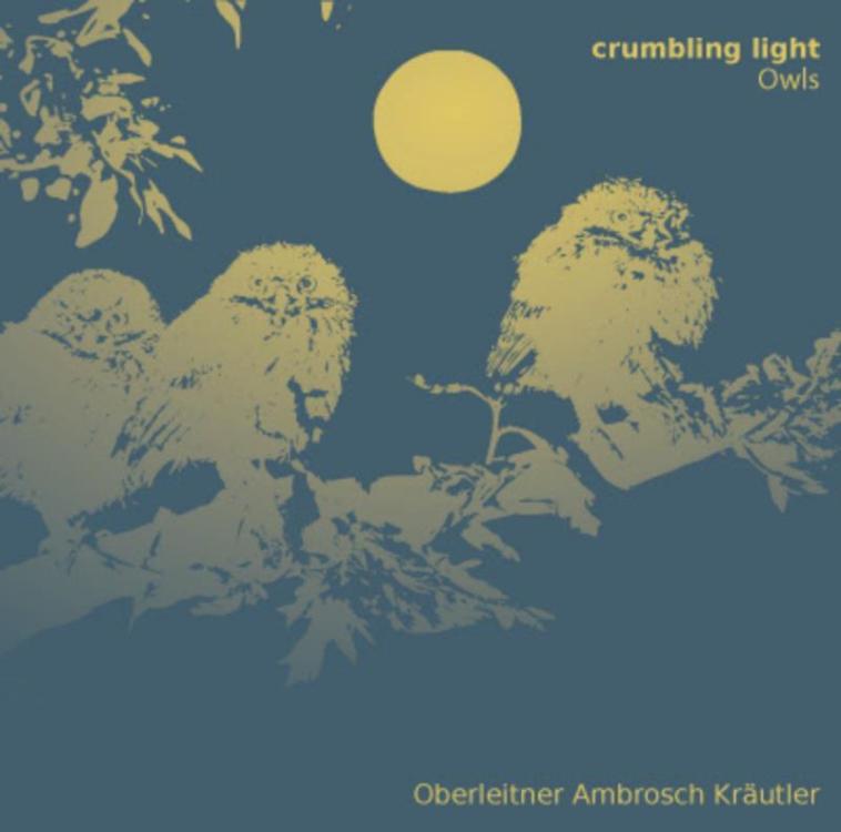 Owl - Owls - Crumbling Lights (Copy).jpg