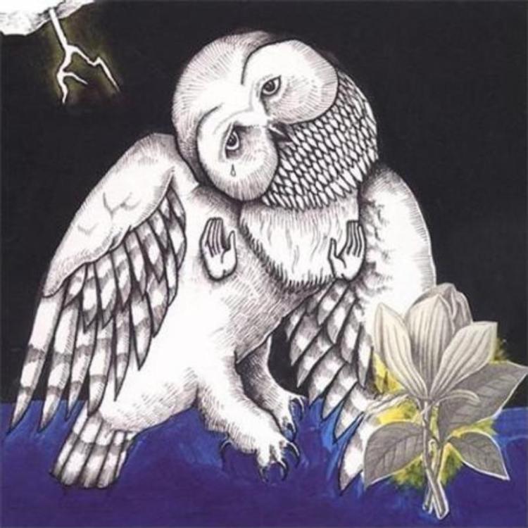 Owl - Songs - Ohia – The Magnolia Electric Co (Copy).jpg