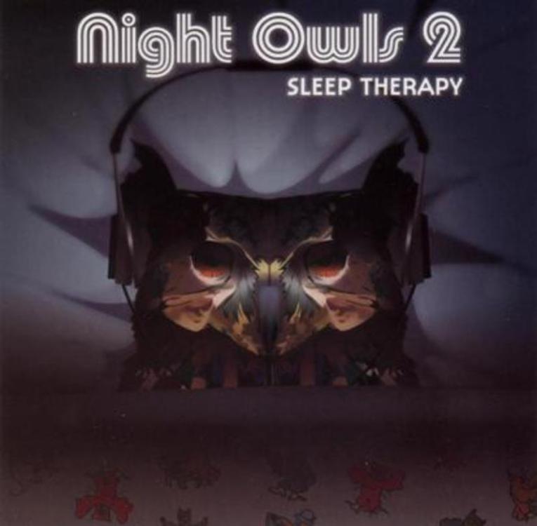 Owl - Various – Night Owls 2 - Sleep Therapy (Copy).jpg