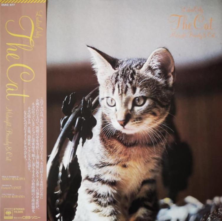 Cat - Akiko Senkawa – Ladies Only - The Cat (Midnight, Brandy & Cat) (Copy).jpg