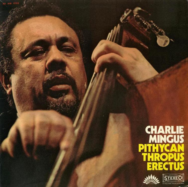 Mingus-21-1_stitch (Copy).jpg