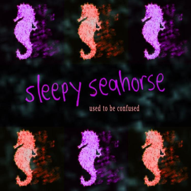 Seahorse - Sleepy Seahorse – Used To Be Confused (Copy).jpg