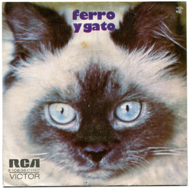 Cat - Rafael Ferro Y Su Orquesta – Ferro Y Gato (Copy).jpg